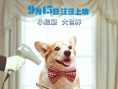 《一条叫王子的狗》终极海报:柯基王子搭学生妹
