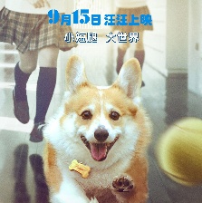 一條叫王子的狗
