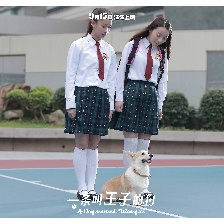 一條叫王子的狗