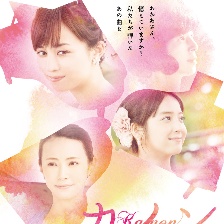 卡農(nóng)