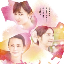 卡農(nóng)