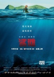 《鲨滩》定档9月9日 性感逃生电影暑期压轴亮相
