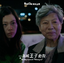 一條叫王子的狗
