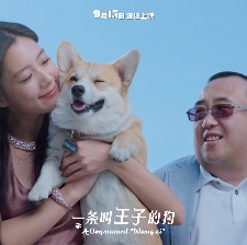一條叫王子的狗