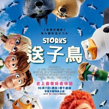 逗鳥外傳：萌寶滿天飛