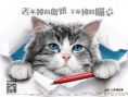 《九条命》曝光特辑 铲屎官分享养猫感人心路