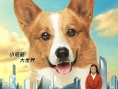 《一条叫王子的狗》终极海报:柯基王子搭学生妹