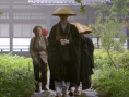 禅