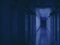 一只小老虎