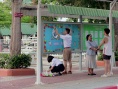 一只小老虎