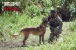 《湄公河行动》曝番外视频 缉毒犬哮天呆萌可爱