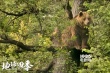 《地球四季》高口碑引观影潮 联动票房逐渐回暖