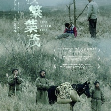 枝繁葉茂