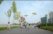 小熊的夏天
