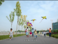 小熊的夏天