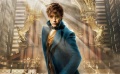 《神奇动物在哪里》定档预告 小雀斑玩转魔法世界