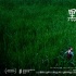 专访《黑处》导演：抛开悬疑噱头，才会为之惊艳