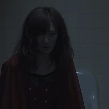 毒蟲