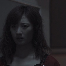 毒蟲