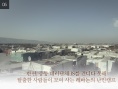 顺从