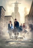 《神奇动物在哪里》宣布改档11.25 影迷热情不减