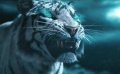 《封神道：哪吒鬧海》先行版預(yù)告 猛虎秒變白鶴