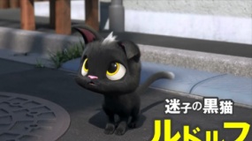 《黑貓魯?shù)婪颉奉A(yù)告片 流浪貓的東京歷險(xiǎn)