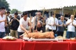 叶伟信洪金宝《贪狼》开镜 古天乐托尼贾打戏连场