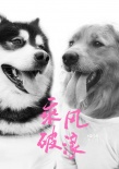 后會(huì)有期！馬達(dá)加斯加重返銀幕 助陣《乘風(fēng)破浪》