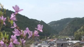 《穿過鳥道》 日本預(yù)告片1
