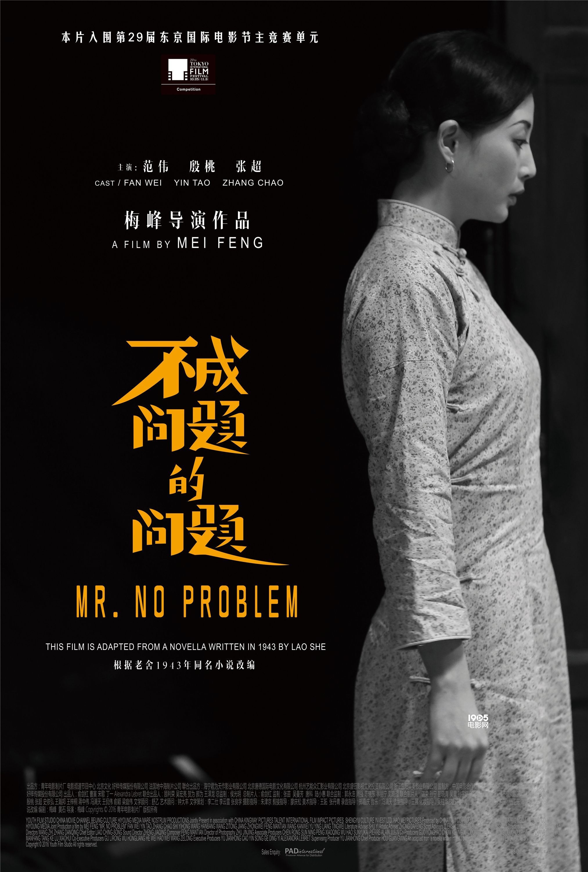 殷桃《不成问题》全球首映 悲悯演绎中国式聪明