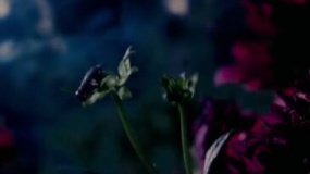 《王妃之馆》 电影特辑2