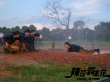 《辣警霸王花》终极海报预告 