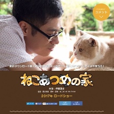 貓咪后院之家