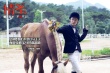 《情圣》
