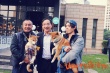 《忠犬八公》团队中日合拍新片 萌宠小柴催泪回归