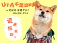 Uta不是流浪狗