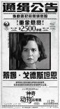 《神奇動物》懸賞海報曝光 “罪魁禍首”賣萌
