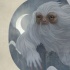 “神奇動物”主創(chuàng):如何搞定沒有哈利波特的魔法界