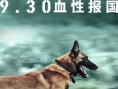 湄公河行动