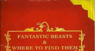 《哈利·波特》里的这些书比《神奇动物》更"神奇"