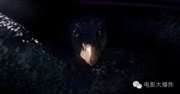 最圈钱的哈利·波特系列重生回归,但这坑我跳