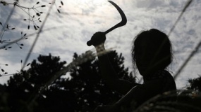 《金福南殺人事件始末》片段4