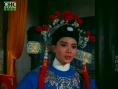 金枝玉叶