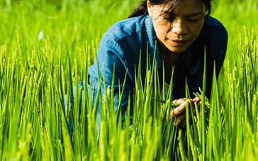 《太阳的孩子》超前导预告片