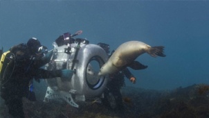 《海底世界3D》预告片