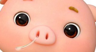 《猪猪侠之英雄猪少年》首映 萌娃阿拉蕾来助阵
