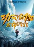 《功夫瑜伽》發(fā)布會