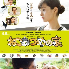 貓咪后院之家