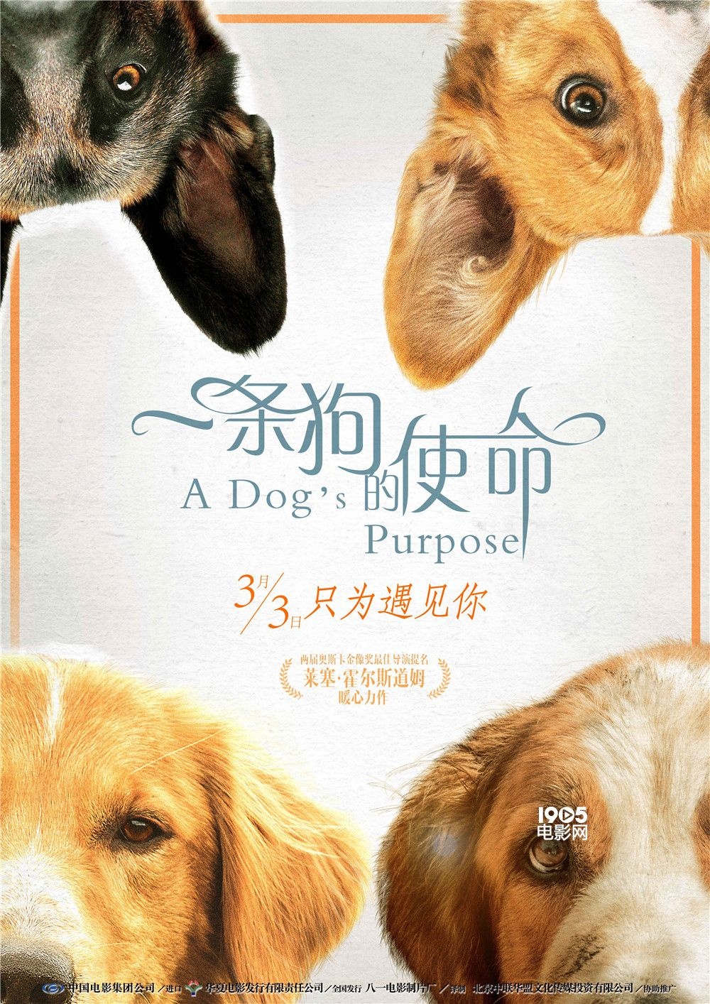 必看必爱必哭电影《一条狗的使命》内地定档3.